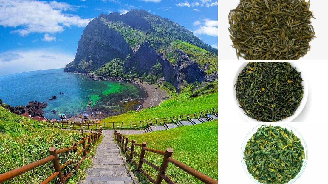 Why is Jeju Island Tea so Popular?