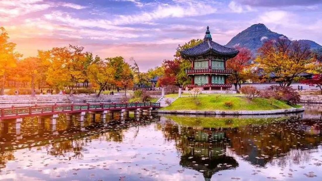 Should you Visit Korea in November?