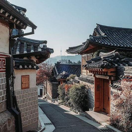 Korea Travel Dreams