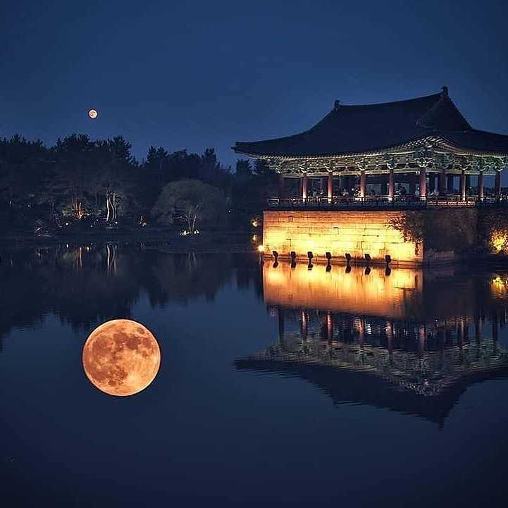 A Magical Night in Korea