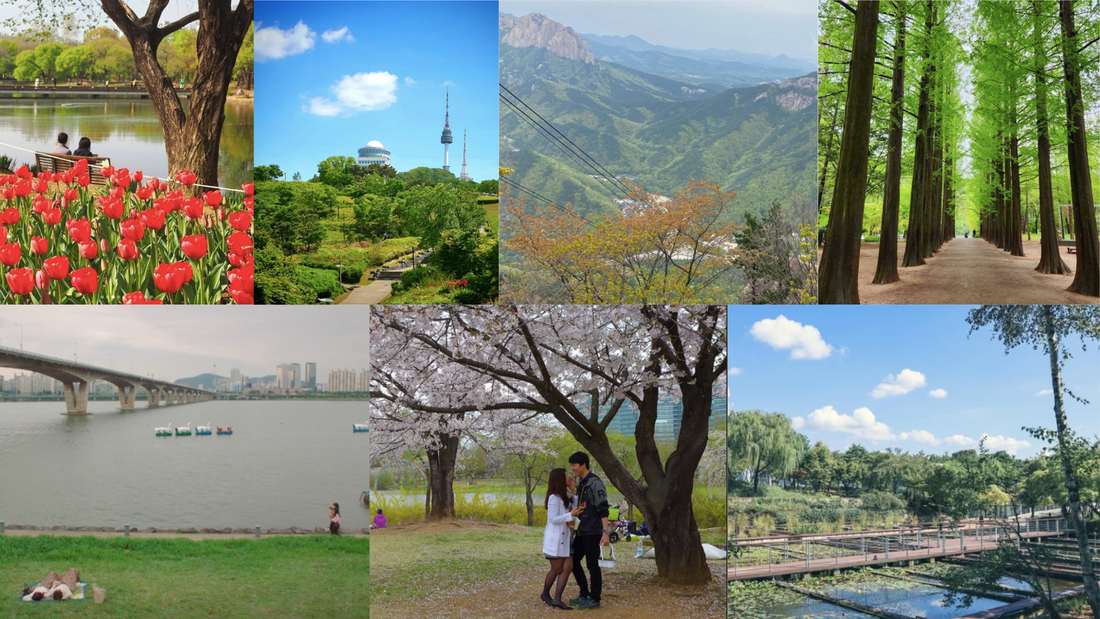 10 Popular Picnic Spots in South Korea