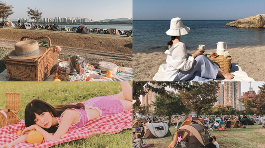 Picnic in Korea