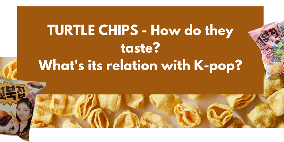 Turtle Chips Connection With Kpop & Chips Full Review