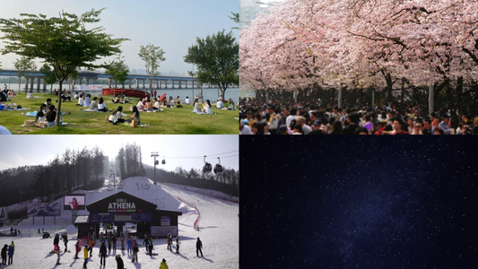 Korean Spring: Date Ideas!