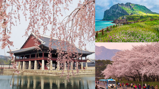 April in Korea: Where to Go and What to Do?