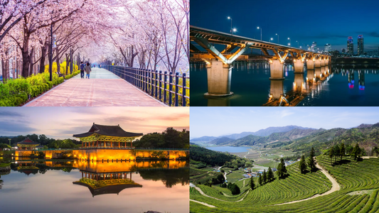 Exploring korea's stunning spring Landscapes